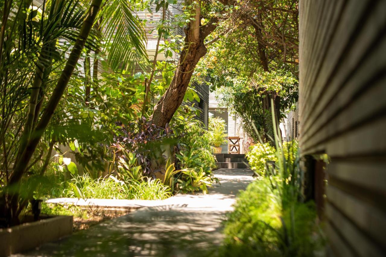 Hotel Nardazul "Casa De Suenos" Oaxaca Exteriér fotografie